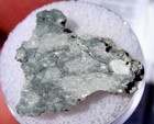 1 77 Grams 22x20x3mm Gadamis 005 Slice  apollo 16 Lunar  Meteorite With A Coa