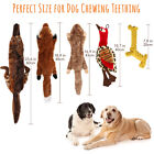 5pcs Dog Squeaky Toys Durable Plush Toy For Puppy Large Small Dogs Pets Squeaker