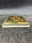 Dungeons   Dragons Player s Handbook 2024 Alternate Hardback Cover