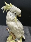 Gorgeous Royal Dux  Hand Painted Porcelain Cockatoo 10  Perfect Condition