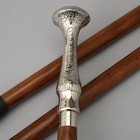 Wooden Walking Stick For Seniors  Silver Head Rosewood Brown Shaft Cane