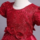 Girls Embroidery Flower Lace A Line Pageant Dress Princess Tulle Maxi Gown Party