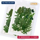 42 Pcs Real Dried Pressed Leaf Flowers Plant Herbarium For Craft Resin Jewelry M