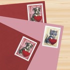 2023 Usps Sheet Of 20 First Class Letter Stamps Love 82  
