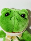 Applause Frog Green Plush Stuffed Animal Lovey With Tag 2019