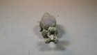 Vintage Florenza Pin Cushion Poodle Dog Sewing Bobblehead Nodder  Nice Condition
