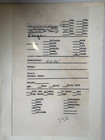 Vintage Original Pressed Wildflower Botanical Art Herbarium 11x17  5257