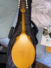Seagull S8 Mandolin Sg  Natural Natural
