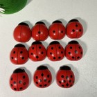 Montessori Counting Wood Ladybugs With Felt Daisy Carrier Educational Toy