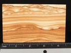 Nice  Picture Stone   Sandstone Slice Or Slab With Display Stand Utah 214gr