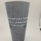 Backstreet Boys Into The Millennium Sphere Silver Las Vegas Collectible Cup