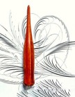 English Professional Calligraphy Dip Pen Italy Gothic Straight Dip Pen Holder 
