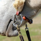 Myler Western Dee With Hooks Low Port Comfort Snaffle Mb 04  5 