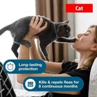 Pack Of 2 Collar For Cat Pets cat Collar  Protection Pet Cat New Usa