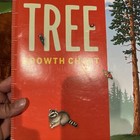 6 Foot Tallest Tree Growth Chart 2004 Golden Gate National Parks Conservancy