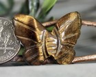 Hand Carved Tiger s Eye Gemstone Butterfly Totem Spirit Animal Figurne 9123