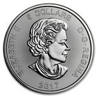  1  2017 Canada  5 Dollar 1oz  9999 Fine Silver Bu   Lynx   Predator Series Coin