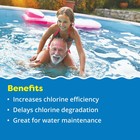 In The Swim Pool Stabilizer     100  Cyanuric Acid For Chlorine Protection And