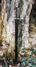 Hand Forged High Carbon Steel Viking Sword Sharp Battle Ready Medieval Sword