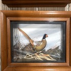 Vintage Joseph Q Whipple 3d Shadow Box Pair Pheasant Canada Goose Art Diorama