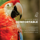 Prevue Pet Products Parrot Play Stand With Wheels - Rolling Bird Stand Play Cent
