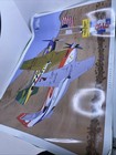 Official 2015 Reno Air Races Poster D b  Mueller Autographed Voodoo Strega