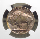 1913  p  Indian Head Buffalo Nickel  type 2  5c Ngc Ms65  002 Gem Bu Ecc c  Inc 