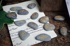  13 Witches River Stone Runes And Bag Witch Wicca Pagan Divination Gift Yule