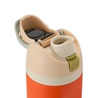 Owala Water Bottle Freesip 24oz Stainless Steel Hearth   Hand Fruit Tart