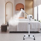 Salon Spa Facial Steamer Sauna Beauty Equipment Skin Care Ozone Machine