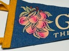 1950s Usa Felt Pennant Travel Souvenir Georgia The Peach State Pictorial