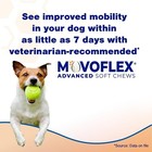 Movoflex Advanced Soft Chews Joint Support - Large Dogs Over 80 Lbs  60 Count
