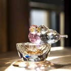 New Swarovski Crystal 2024 Crystal Bird Figurine Collectible Art Glass Home Deco