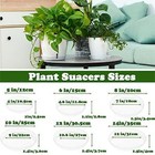 20 Pack 10 Inch Clear Plant Saucers Plastic Drip Tray For Plant Pots Plant Tr   