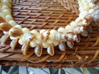 Vtg Hawaiian Lei Spotted Cowrie Shell Necklace Quadruple Rope Polynesian Beach
