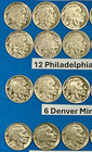 Starter Buffalo Nickels Set Of 24 Different Coins Dated 1920 To 1937 Pds  24c