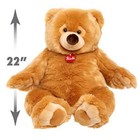 Premium Italian Designed Trudi Ettore Giant Teddy Bear  Big 22-inch Plush  Brown