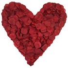 1000 Pieces Artificial Silk Rose Petals Flower Decoration Wedding Burgundy