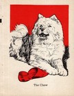 1940 Antique Chow Chow Print Vintage Diana Thorne Chow Illustration 6749c
