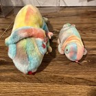 Ty Beanie Baby   Buddy Rainbow The Tie Dye Iguana Nwts Set Of 2 