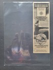 Jimmy Buffett Changes In Latitudes Album Promo Print Advertisement 1977