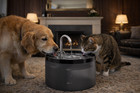 Cat Water Fountain  Dog Bowl Fountains