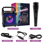 Risebass Portable Karaoke Machine With Microphone With Party Lights    Fast Ship
