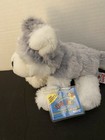 Webkinz Full Size Husky Dog Grey   White Super Cute Hm120