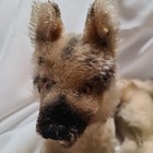 Vtg Steiff German Shepherd 1960s Mohair Dog Lying 14in Tail To Foot  Id Button 