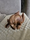 Hand Carved Wooden  Bullfrog Frog Toad 7  X  3 1 2  From Indonesia 