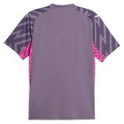 Puma Mcfc Gk V Neck Short Sleeve Soccer Jersey Replica Mens Purple  77047198