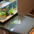 8 Pcs Hanging Wall Planter Pot Aquarium Fish Food Feeder Acrylic Flower Vase