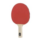Beginner Ping Pong Paddles - Recreational To Performance Table Tennis Rackets   