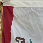 Vintage California Republic Flag 4x6 Feet Annin  Unbranded Fringe